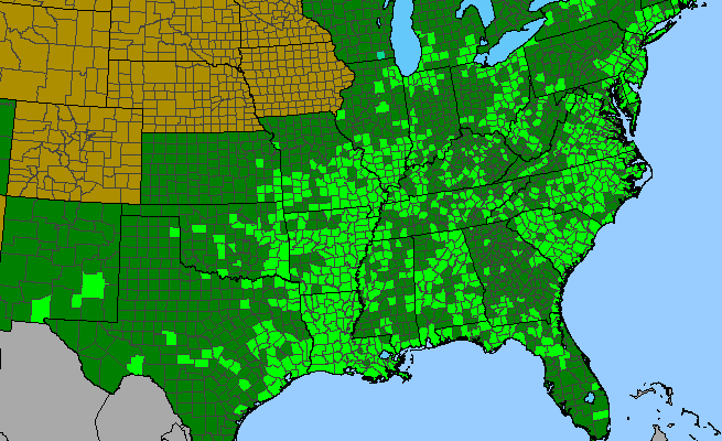 The range of Hibiscus moscheutos
